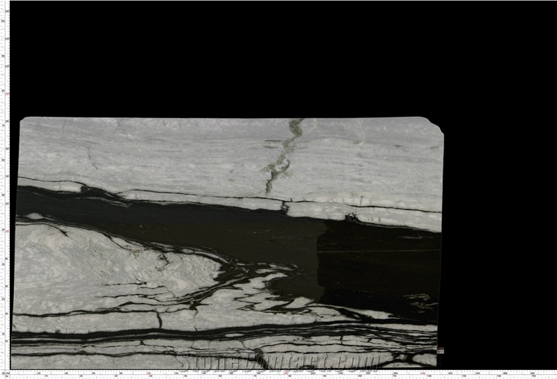 Dalmata Marble Slab