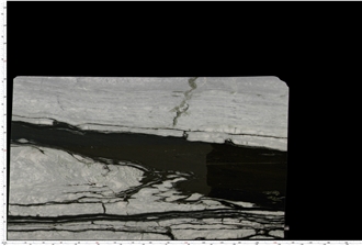 Dalmata Marble Slab