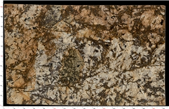 Delicatus Gold Granite Slab