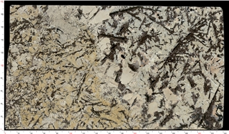 Delicatus Gold Granite Slab