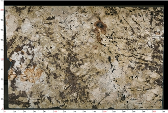 Delicatus Gold Granite Slab