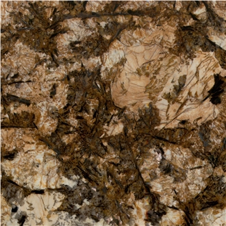 Delicatus Gold Granite Tile