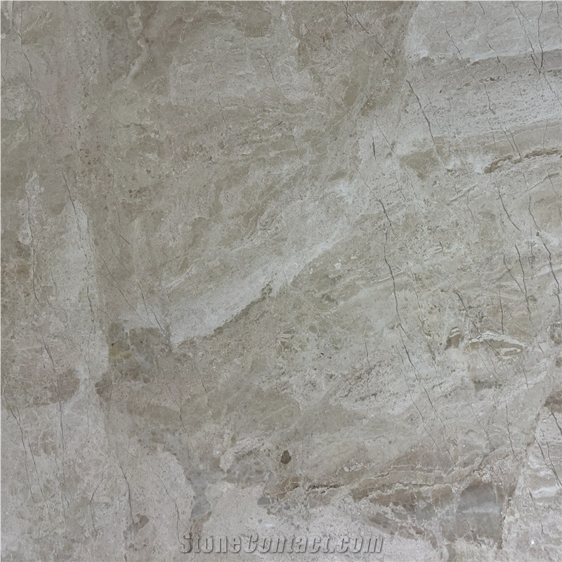 Diana Royal Marble Tile