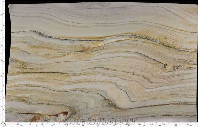 Evora Gold Quartzite Slab