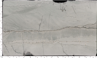 Infinity White Quartzite Slab