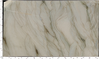 Mocha Quartzite Slab