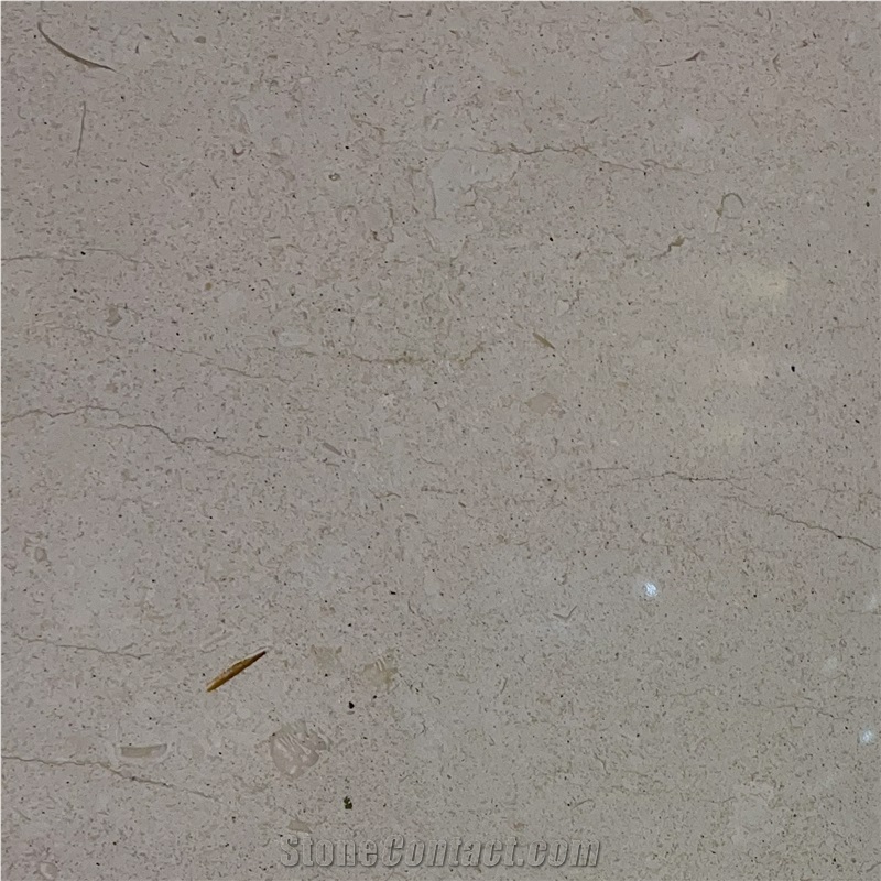 Mocha White Limestone importance=