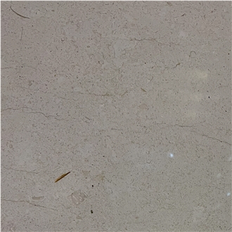Mocha White Limestone