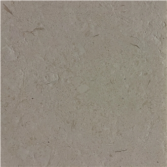 Mocha White Limestone Tile