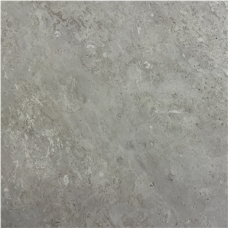 Premium Gray Marble