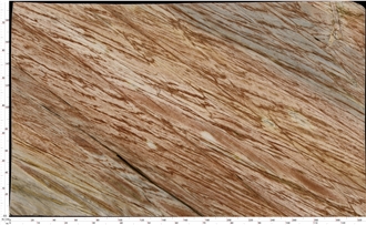 Rosa Bahia Quartzite Slab