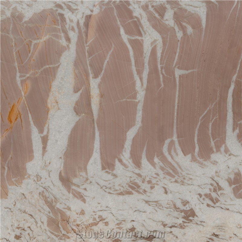 Rosa Quartzite importance=