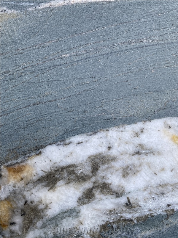 Botanic Wave Quartzite Slab Leathertiles