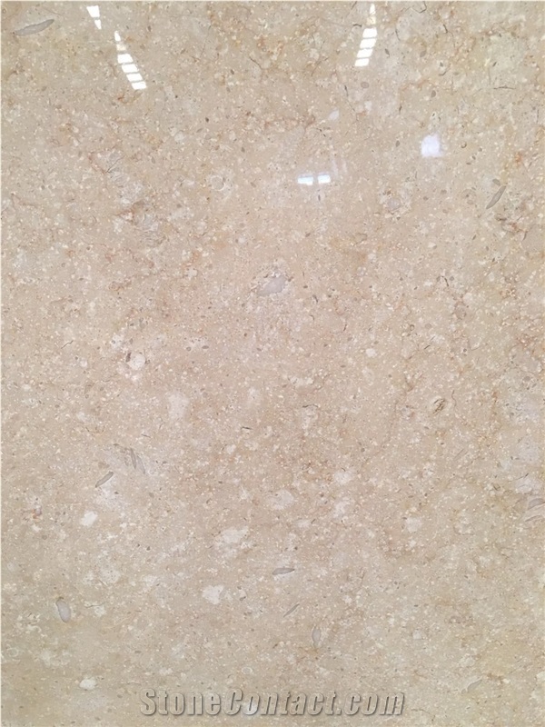 Egyptian Beige Galala Medium/Gingember Marble Slab Tiles