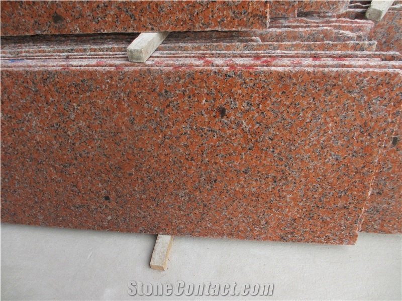 Maple Leaf Zarkie Red Granite G562 Granite Slab&Tile Slabs