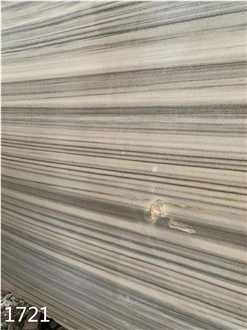 Marmara Zebra Marble Slabs Equator Marmara Semi White Stone
