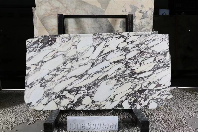 Goldtop New Natural Calacatta Viola Marble Tiles Slabs