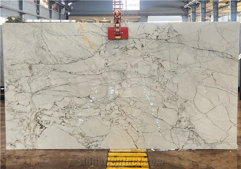 Persian Scatto Marble Slabs 1