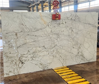 Persian Scatto Marble Slabs 1