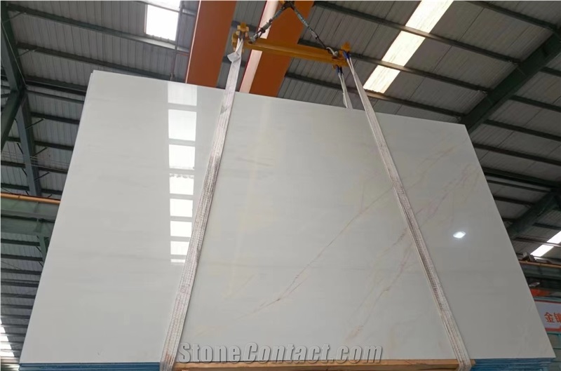 Polished Dolomite Spider Marble Wall Tiles