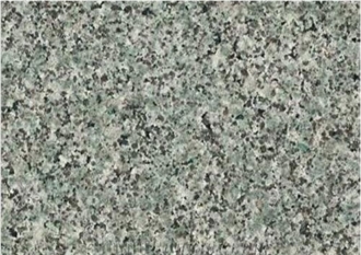 Nosera Green Granite Slabs