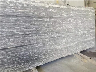 Alps Snow Gneiss Slabs