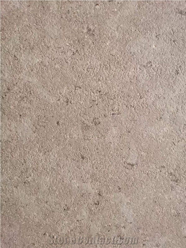 Sinai Pearl Limestone Polished Slabs