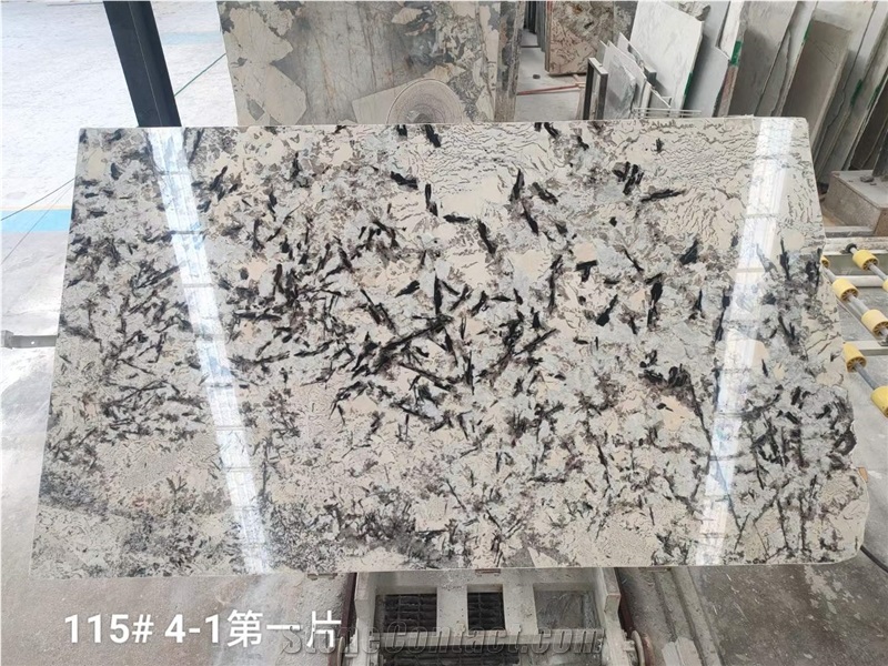 Transparent Exotic Granite Splendor White Granite Slabs