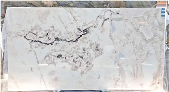 White Picasso Oyster White Marble, Dover White Marble Slabs