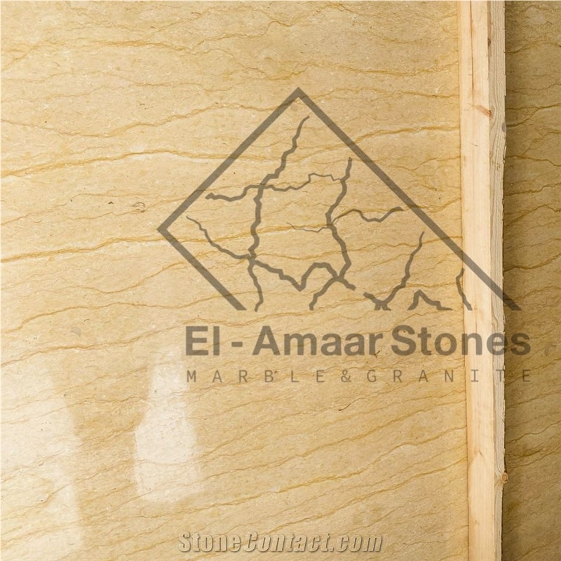 Silvia Menia Marble Slab Tiles