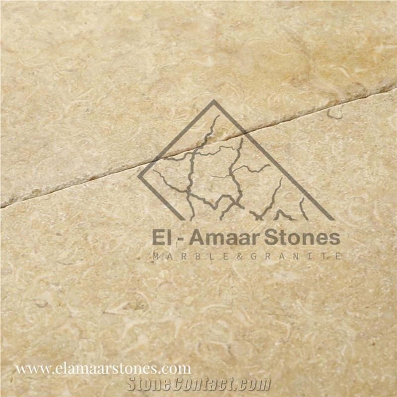 Sunny Menia Marble  Stair Risers