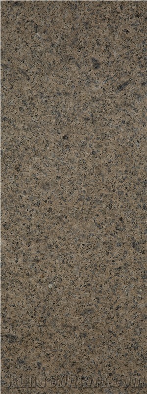 Granite Wall Tiles