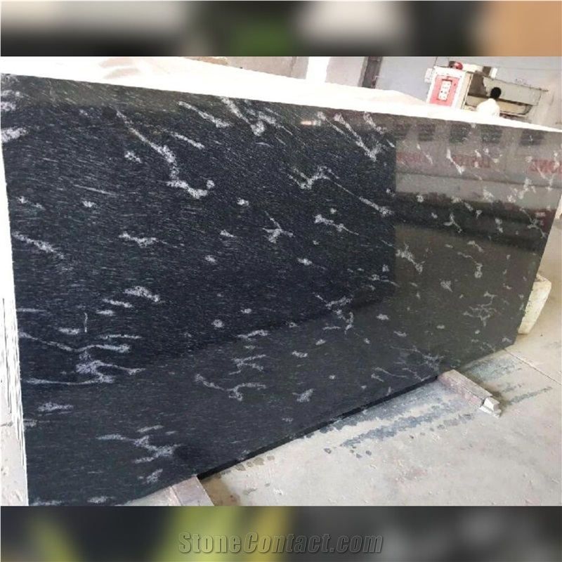 Fish Black Granite Slabs