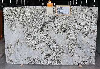 Alaska White Granite Slabs