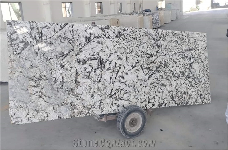 Alaska White Granite Slabs