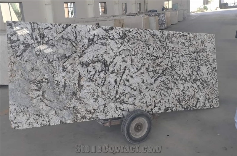 Alaska White Granite Slabs