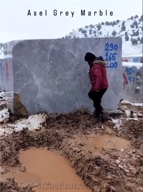 Asel Grey Marble Blocks