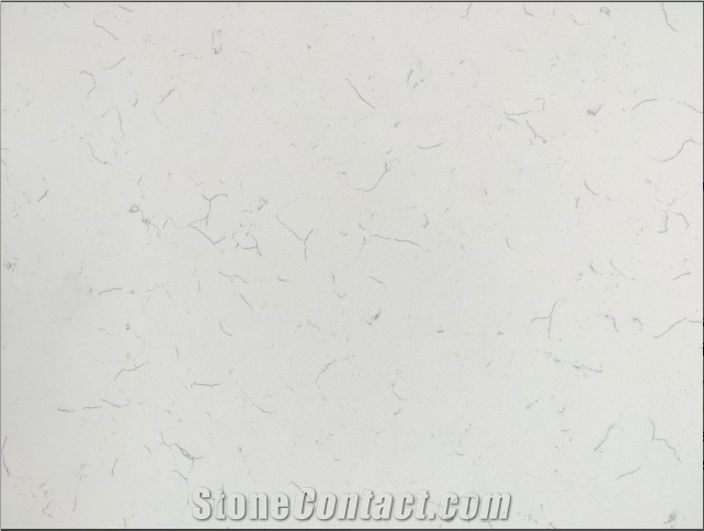 Carrara Alphard Quartz Slabs