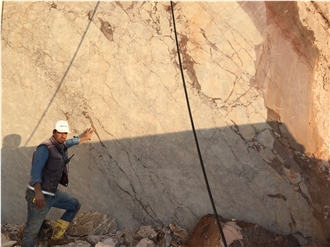 Grey Alicante Marble Blocks