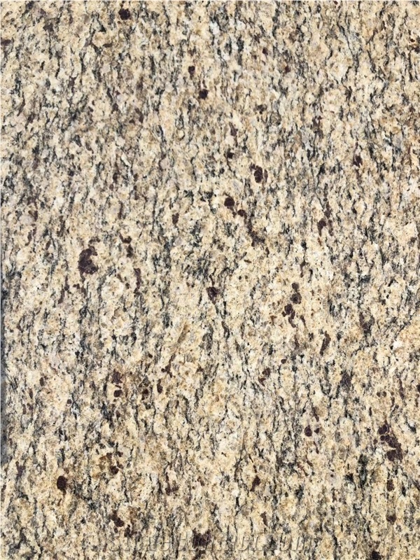 Ouro Brazil Granite Polished Slabs, Wall& Floor Tile