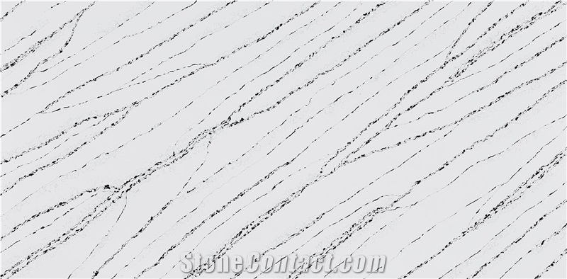 Calacatta Zebra Quartz Slabs