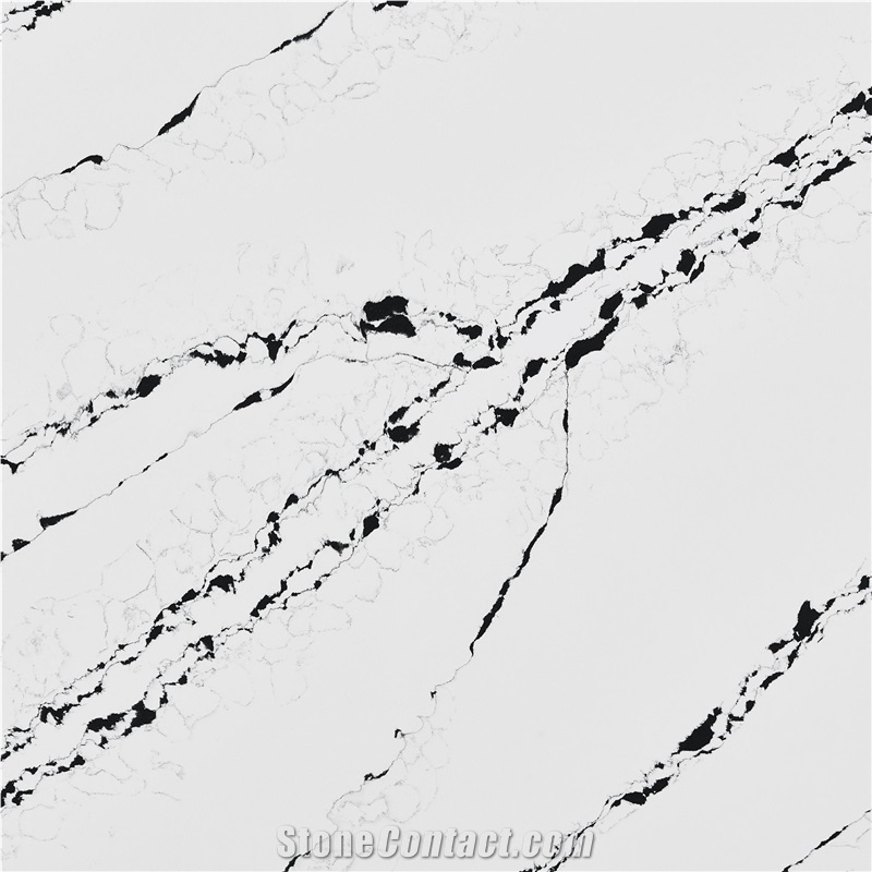 Calacatta Zebra Quartz Slabs