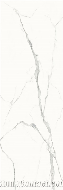 FISH WHITE  Sintered Stone Slabs