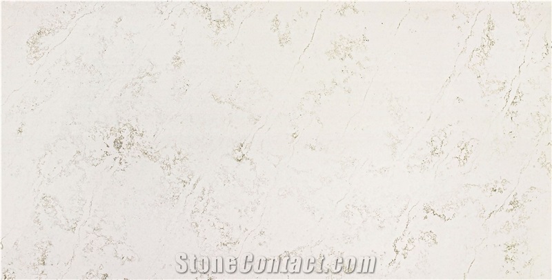 Paris Grey Quartz Slabs