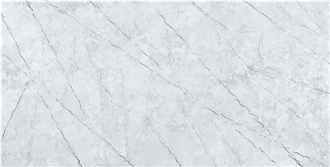 Silver Coast  Quartz Slabs