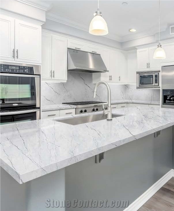 Silver Coast  Quartz Slabs