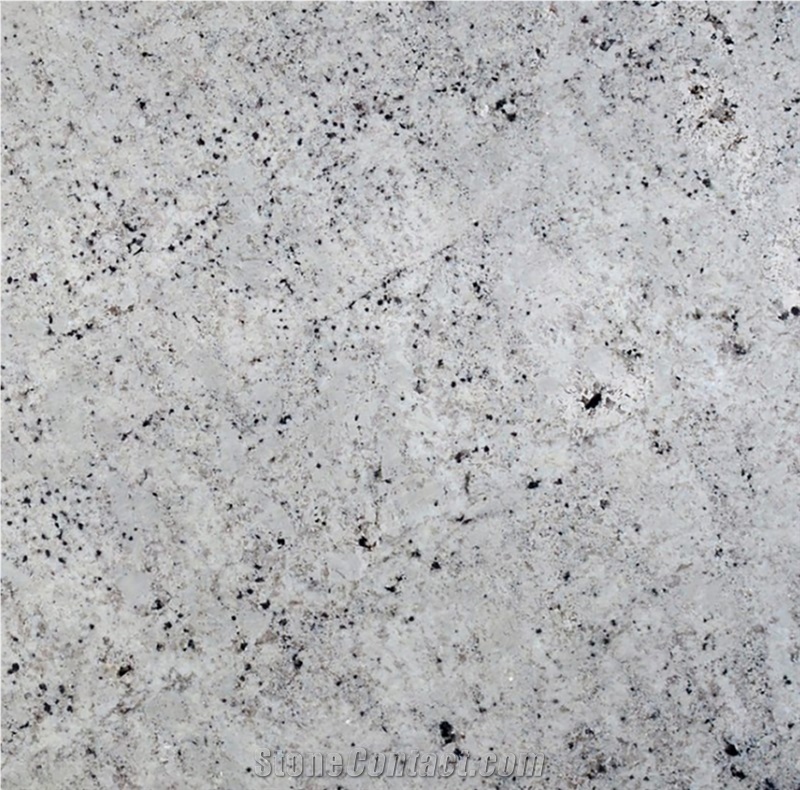 White Stellar Granite Slabs