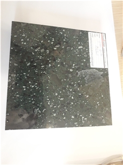 Tiger Black Green Granite Slabs