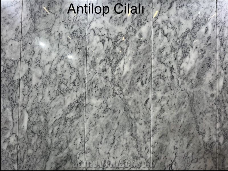 Antilop Marble Slab