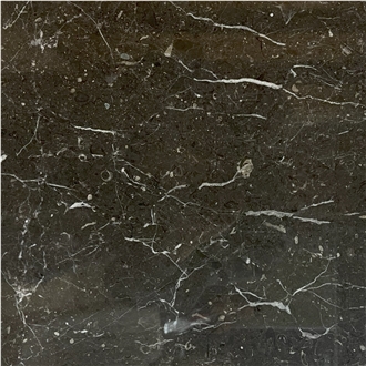Gorgino Black Marble